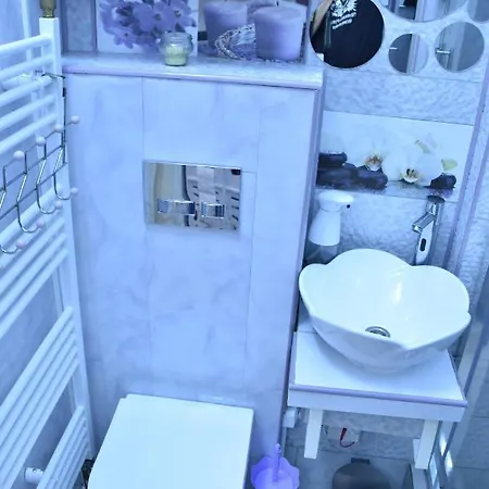 アパート Apartament Ultracentral Piata Muzeului Napoca *