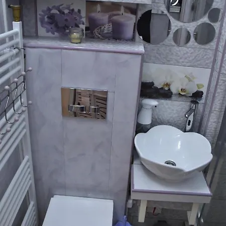Apartament Ultracentral Piata Muzeului Napoca