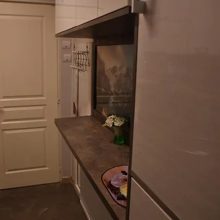 Apartament Ultracentral Piata Muzeului Napoca アパート *
