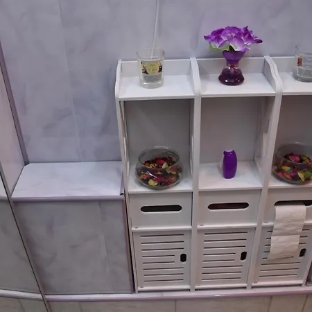 Apartament Ultracentral Piata Muzeului Napoca